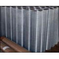 Stainless Steel Welded Wire Mesh of 304 or 316